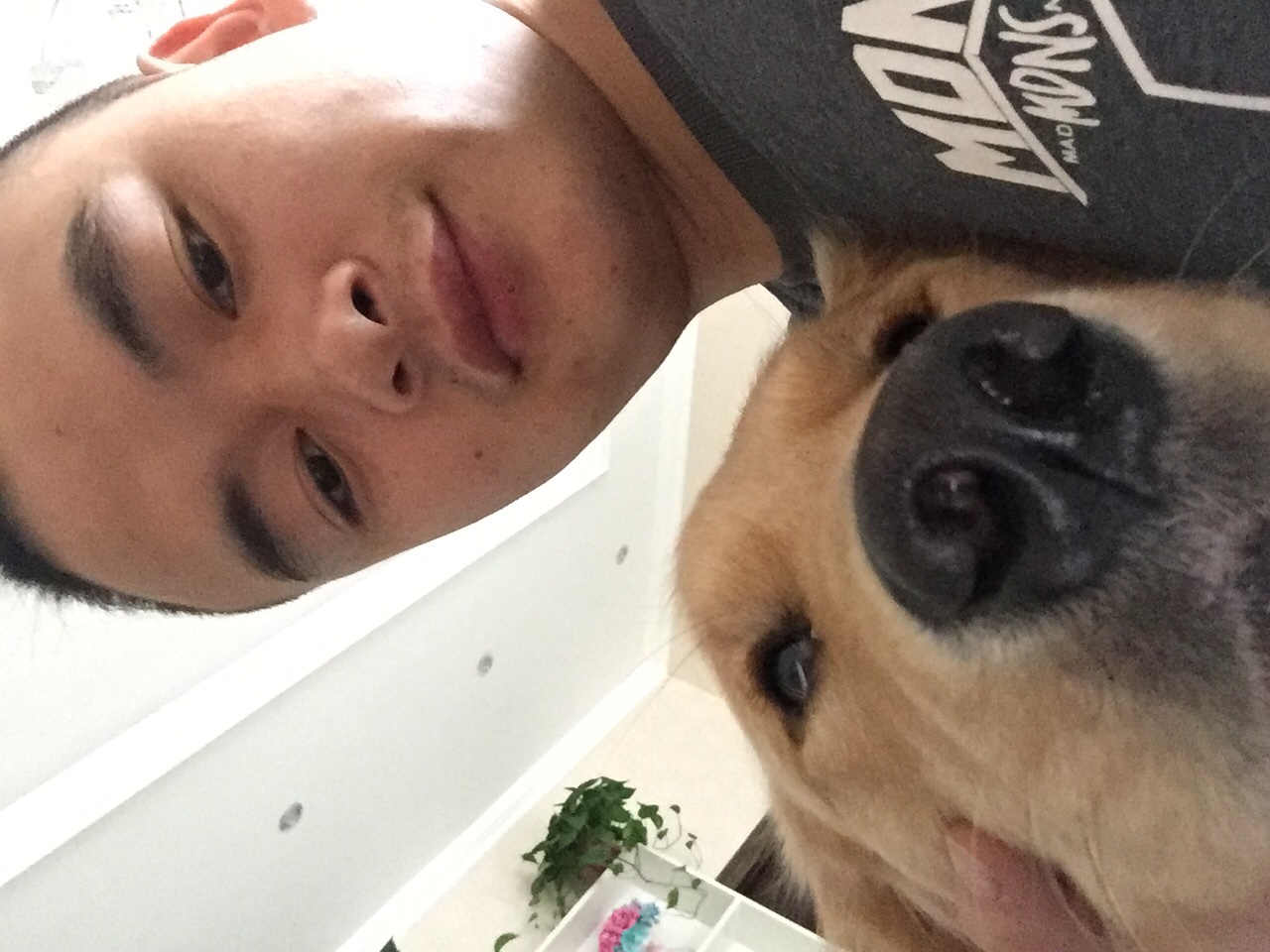 空调安装维修洗衣机维修冰箱维修净水器安装