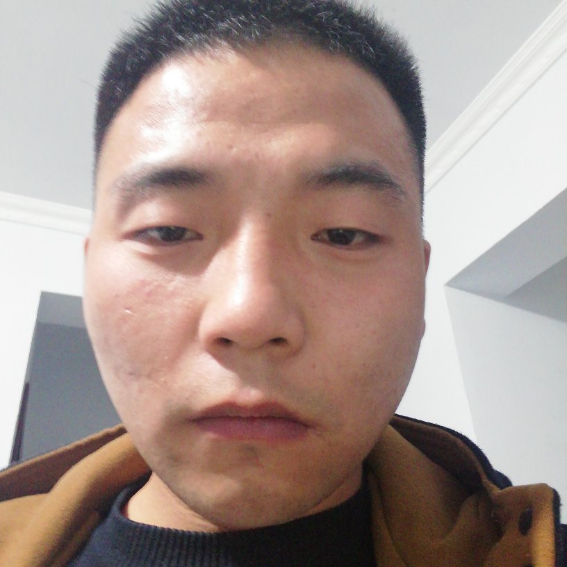 软件