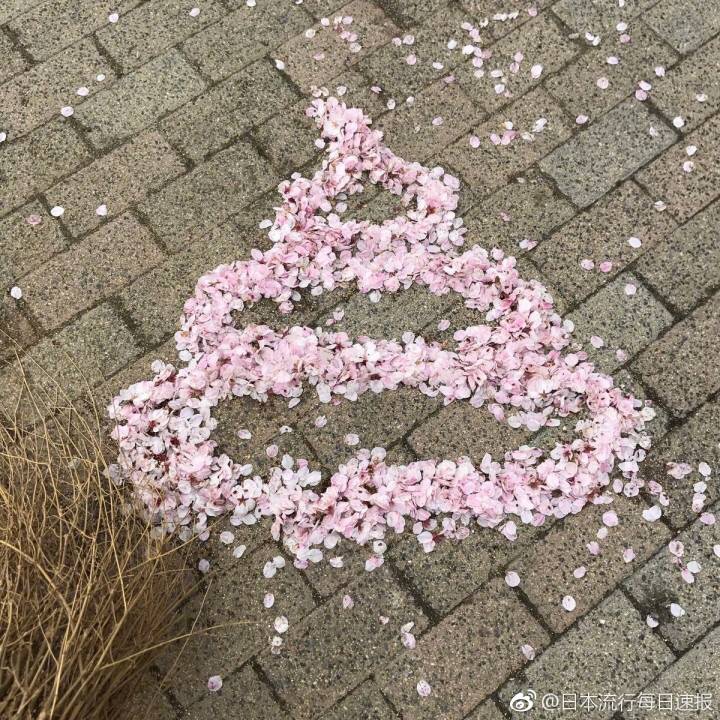 视频剪辑视频剪辑