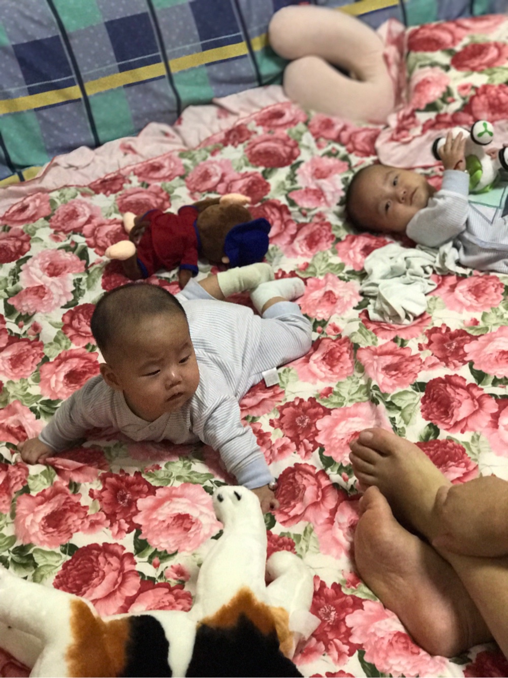 开关好用只要9.9一只