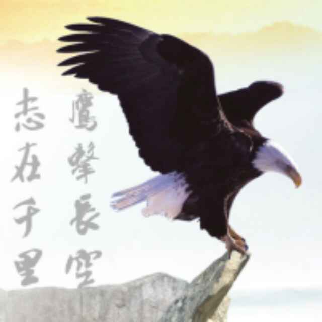 清晨阳光明媚！美好的一天开始了！