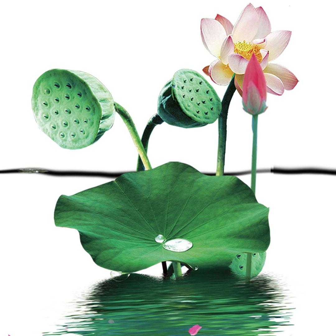 瓷砖美缝瓷砖美缝