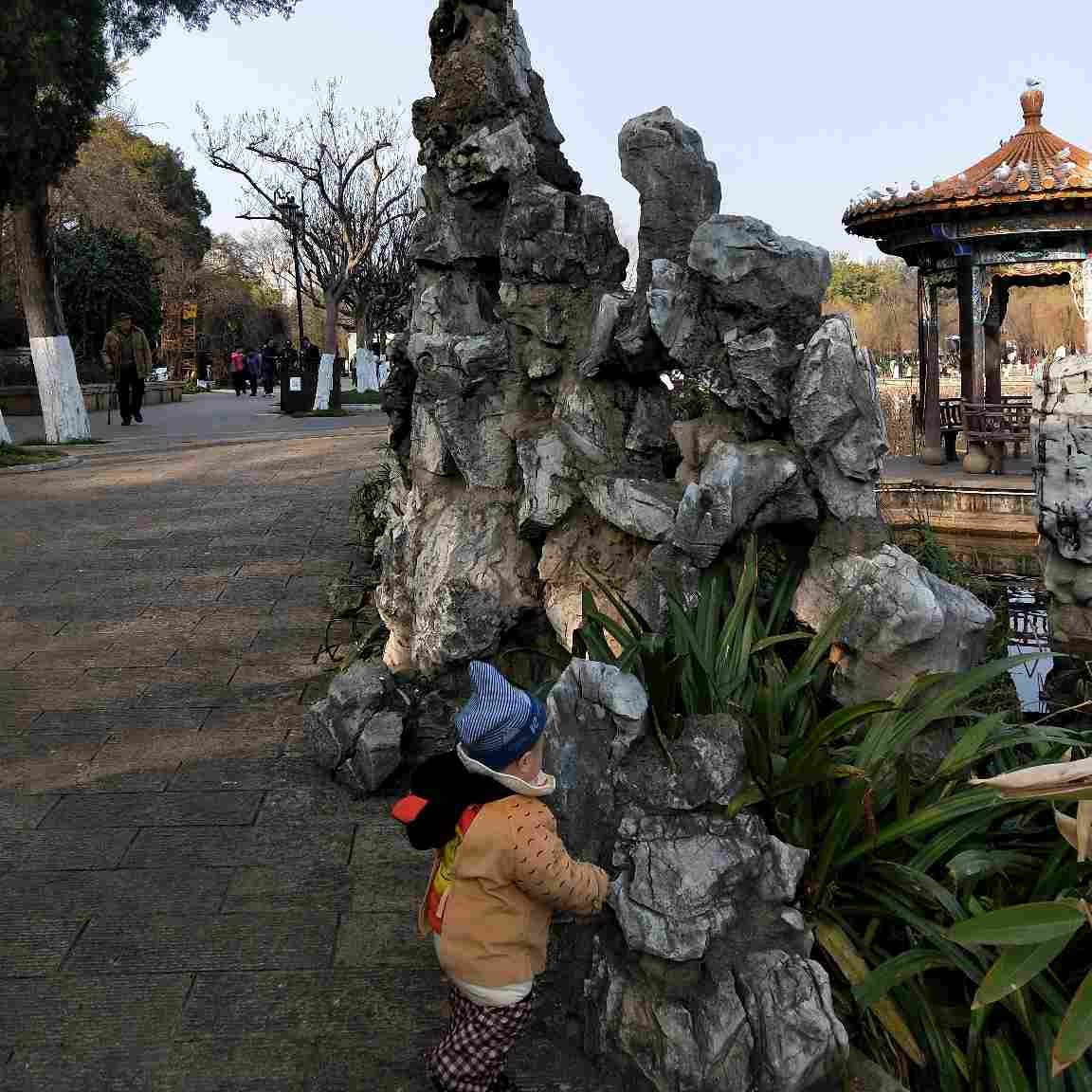 会计