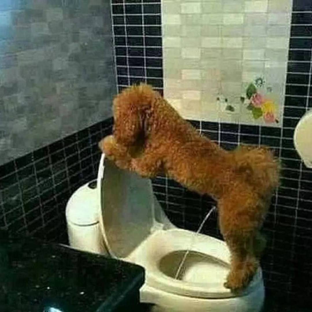 卫浴
