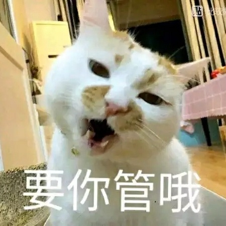 装修木匠