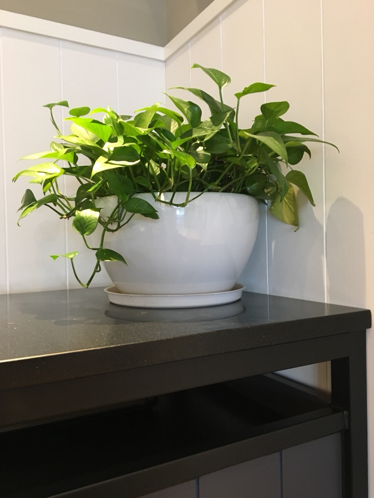 家庭厨具家具家具生活厨具安装家庭设备