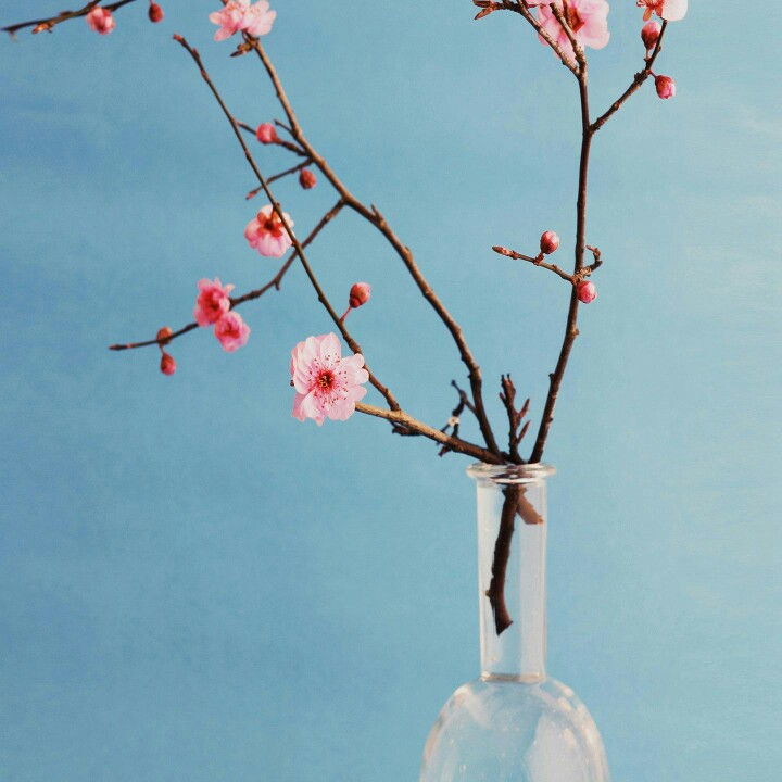 卫浴洁具灯具安装