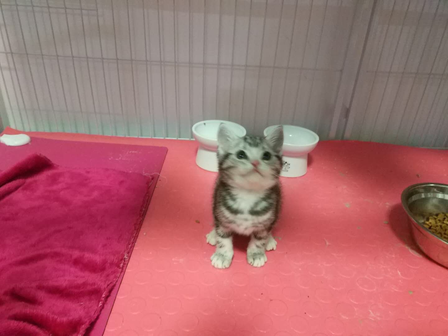 家具卫浴安装