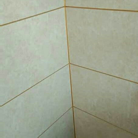 有需要美缝的业主可以找我