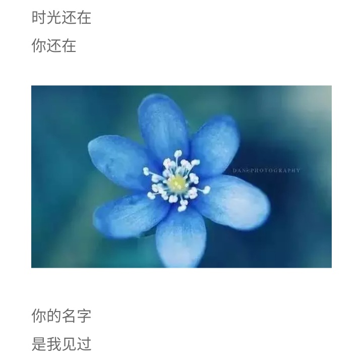 安装