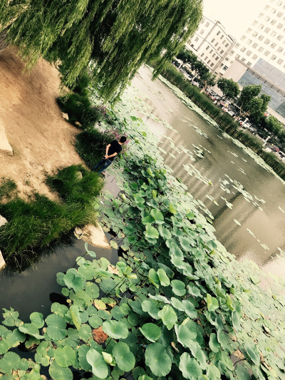医药行业