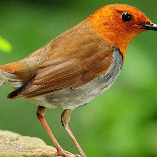 家具安装家具安装