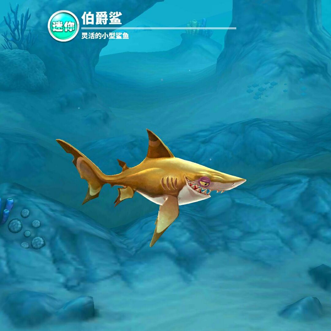 滴滴