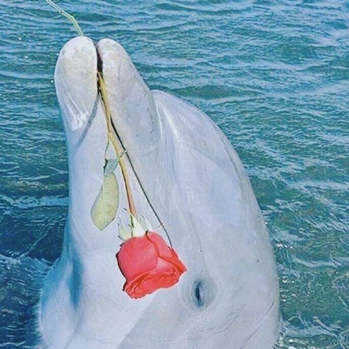 打孔挂画