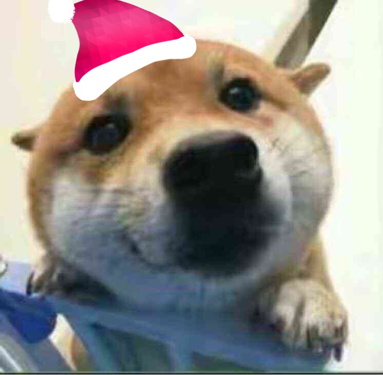 学生