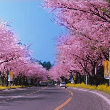 网线安装，计算机系统安装