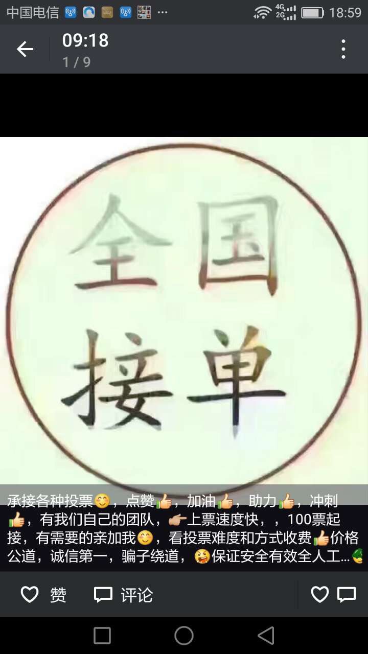 网络投票