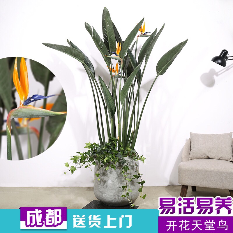装修