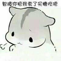 大专
