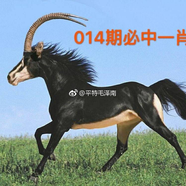 务农