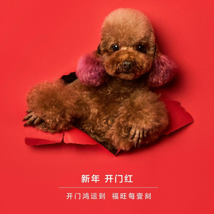 水电改造维修强弱电施工老房墙面翻新货车运输搬家