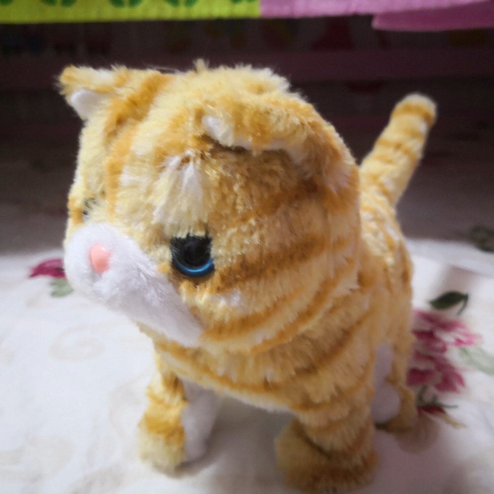 全职