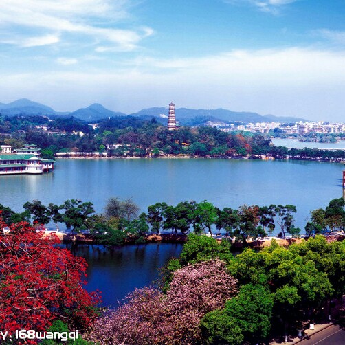 新型环保快装竹木纤维板材安装，一体室快速安装，可天花吊顶、墙面及电视背景安装，材料环保新颖美观，快速施工安装，质量永恒，代替传统木材，运用广泛适合家装、工装、店面、酒店、办公室、会所等场所。欢迎前来咨询。13433565386温生。