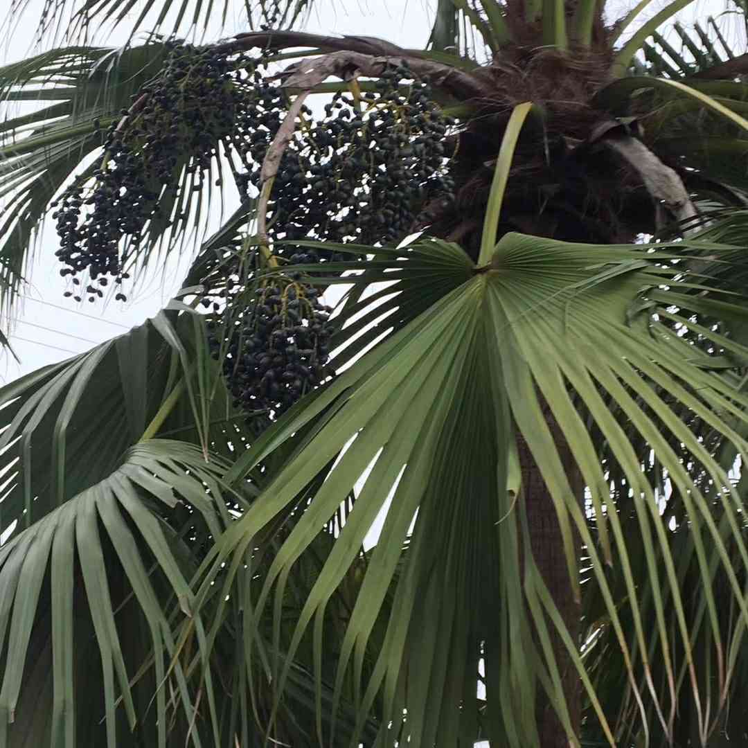 钢结构