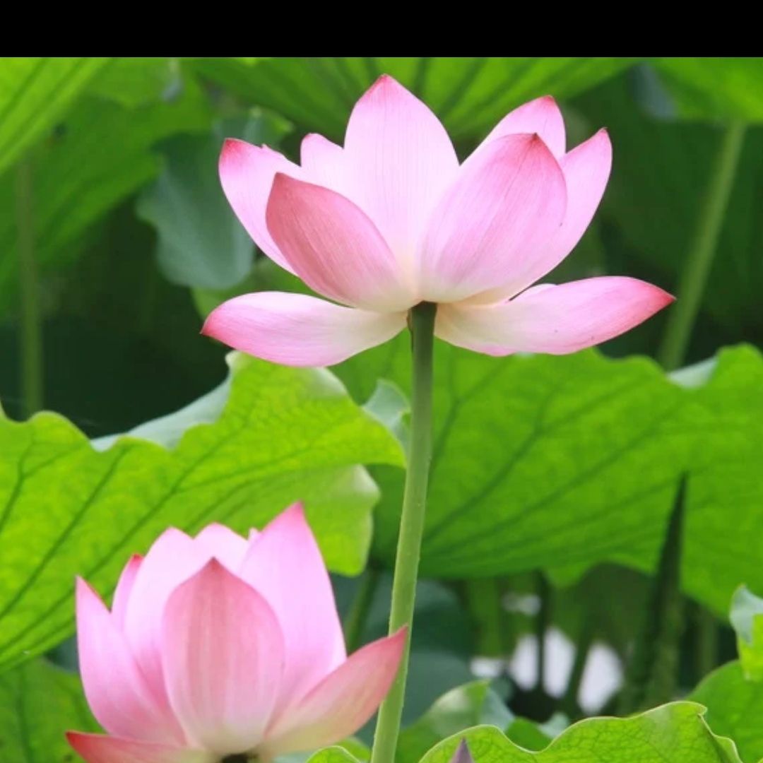 水电维修安装电工