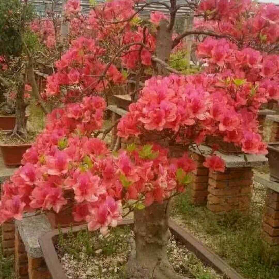 水电维修安装