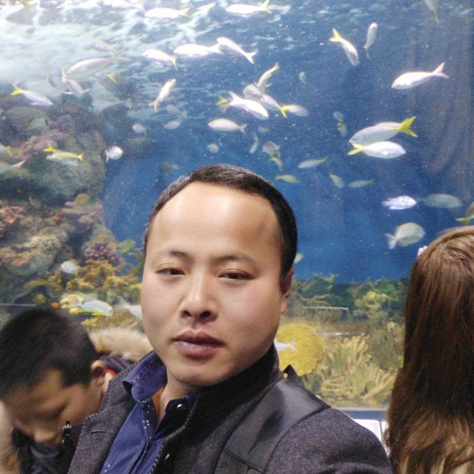 木工专业木工