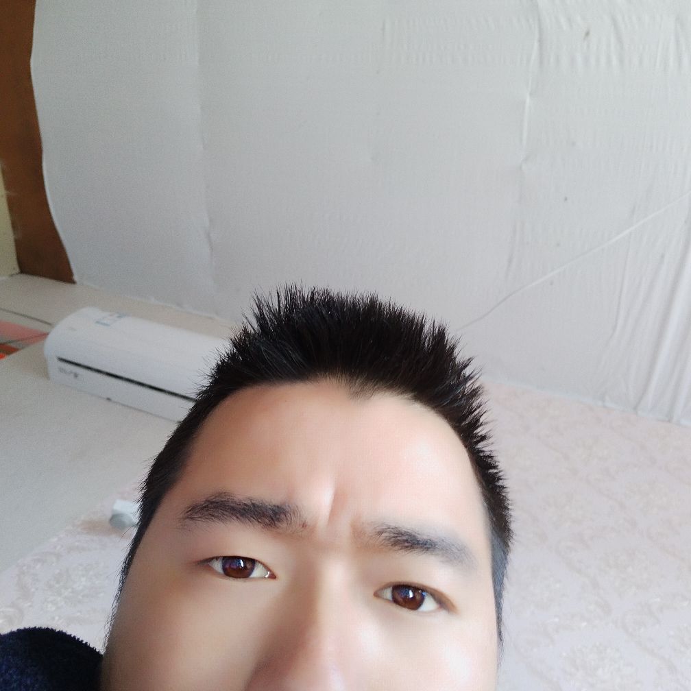 墙纸墙布