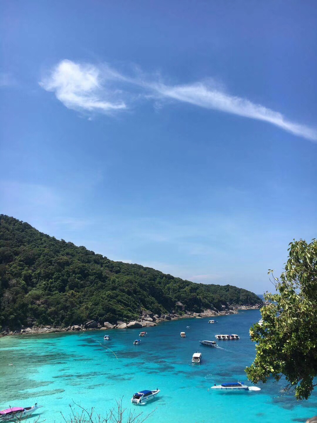 卫浴