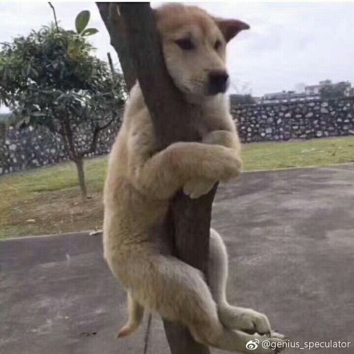 泡妞