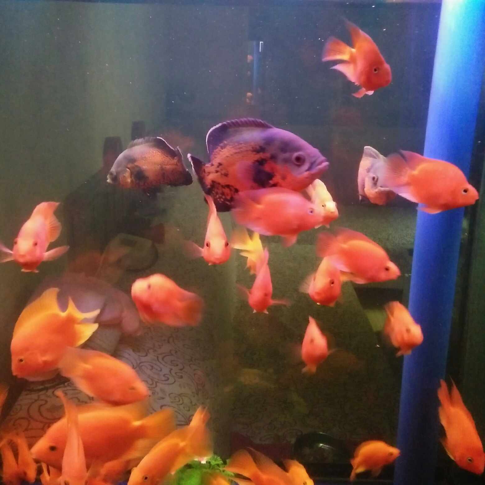 热水器安装