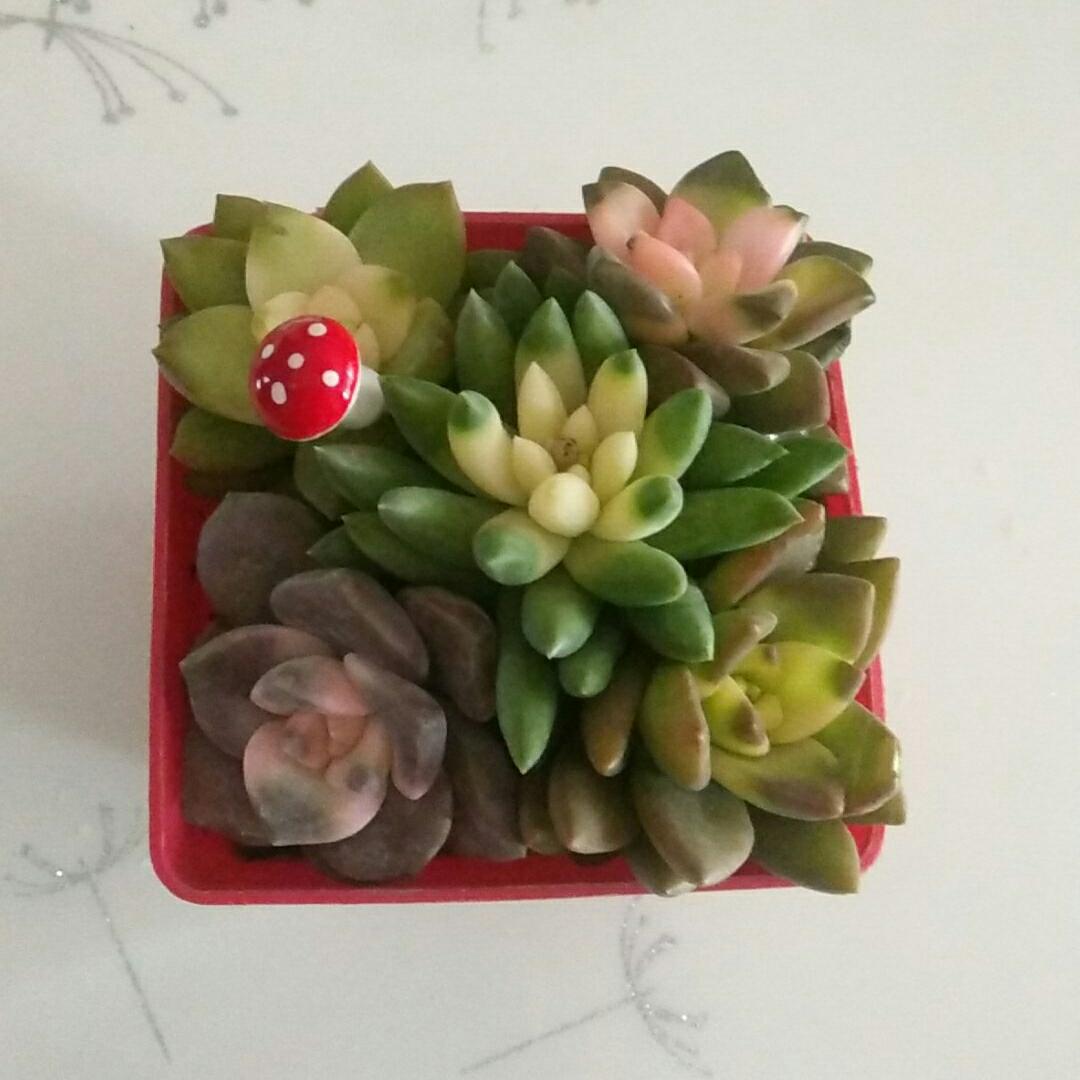 厨房电器安装