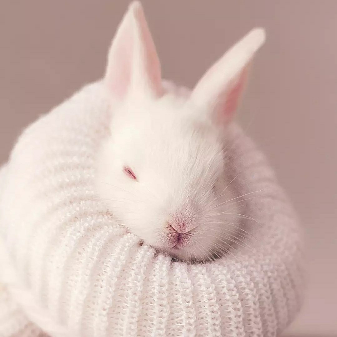 厨卫吊顶厨卫吊顶