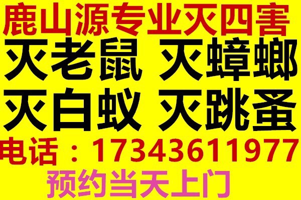 杀虫灭鼠专业灭四害