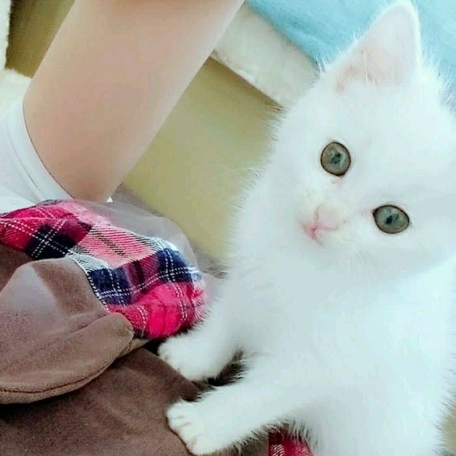 维修安装开关插座安装割墙开槽马桶卫浴安装