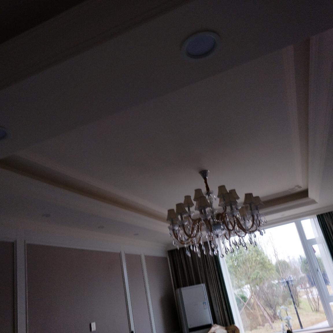 承接装修工程专业木工承接室内装修仿真植物