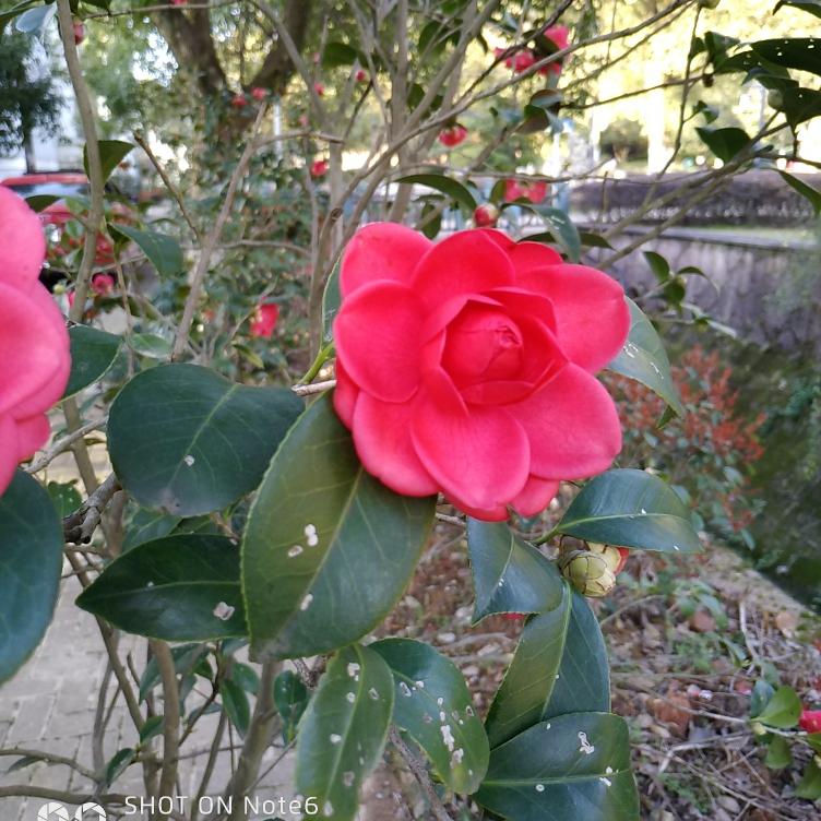 水电家装工装卫浴洁具安装各种灯具安装