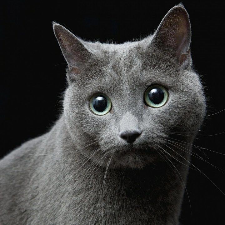 家具安装维修家具安装配送