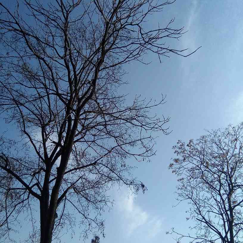 家装木工安装室内门