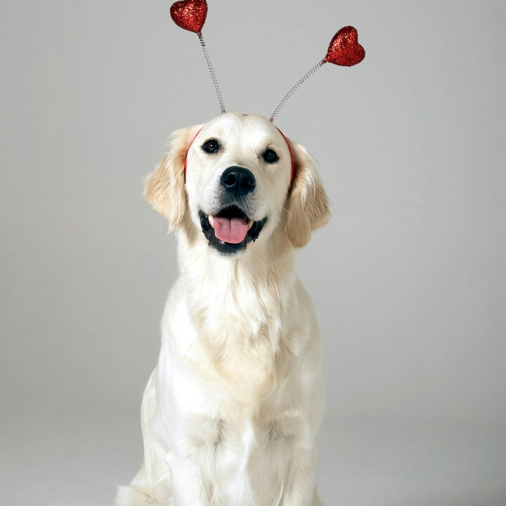 洁具安装维修洁具安装维修