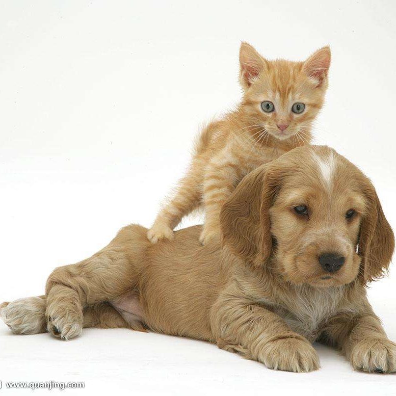 电水弱电电工电脑维修