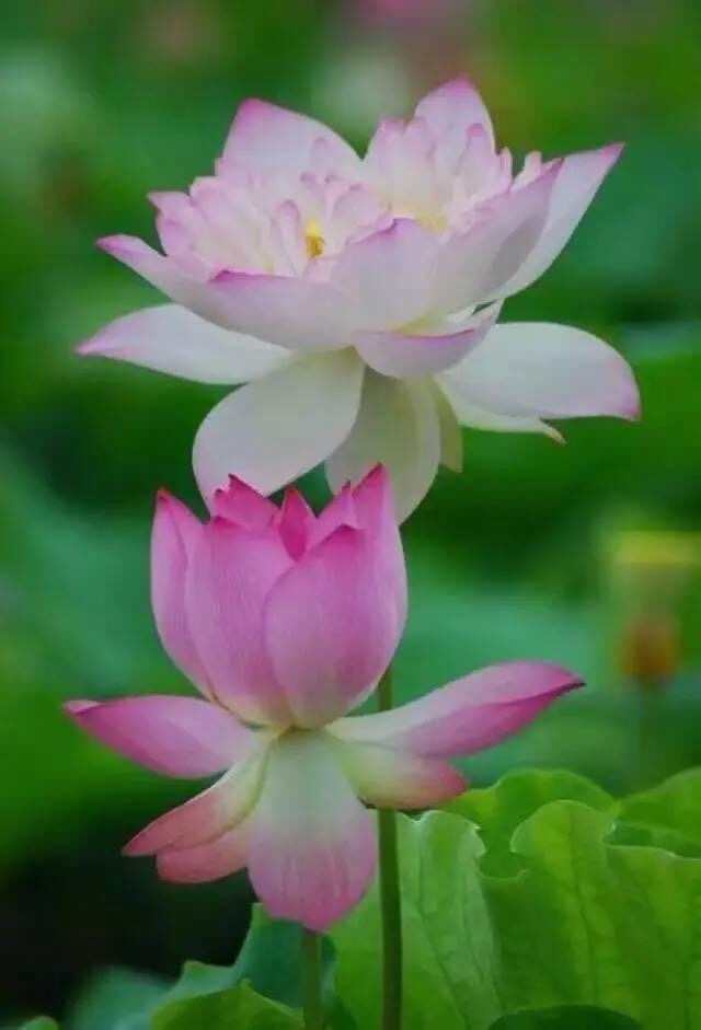 家具建材安装