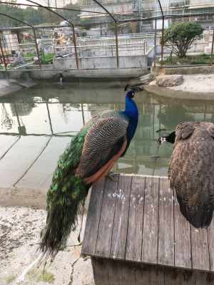 卫浴