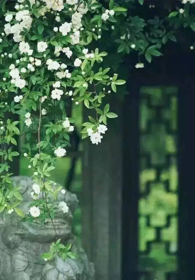 电脑维修等