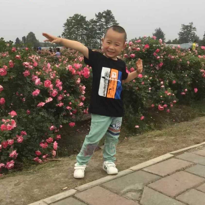 墙纸厨卫美食