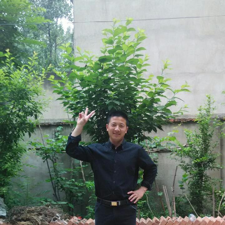 宜家家家俱的
